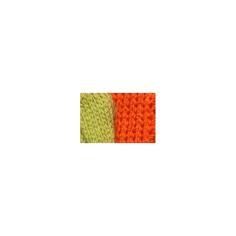 Dog scarf Katia green/orange